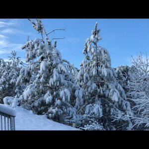 Meet your Posher, J.